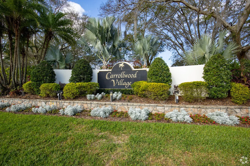 Unlock Your Natural Radiance at the Best Medspa in Carrollwood, FL